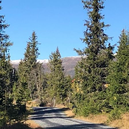 Sykkelhytte Ved Slatten I Synnfjellet Nord Torpa Exterior foto