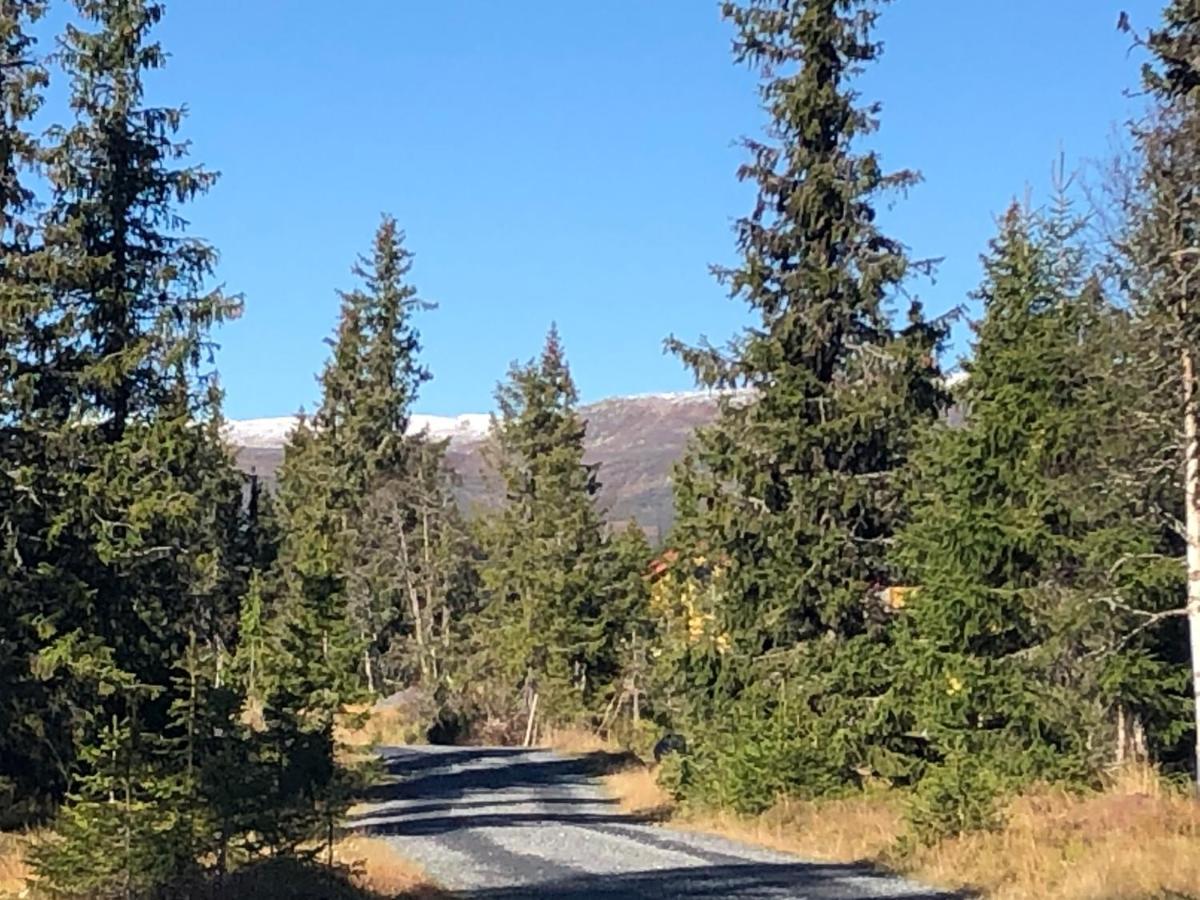 Sykkelhytte Ved Slatten I Synnfjellet Nord Torpa Exterior foto